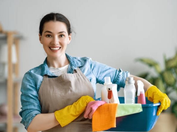 Femme de ménage cuisine babysitter garde malade